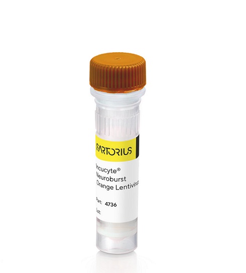 ِ˹Incucyte