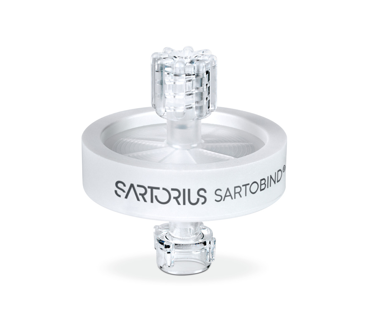 ِ˹Sartobind Ra