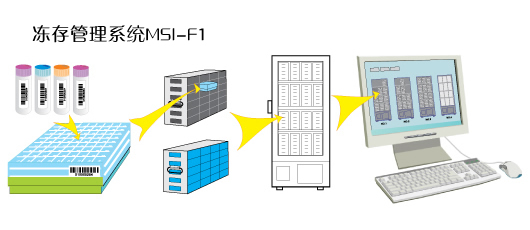 ϵy(tng)MSI-F1